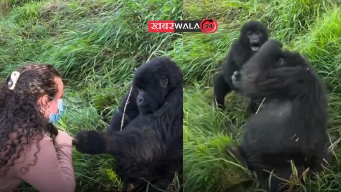 Viral Video Gorilla wife beats up her husband for touching another girls hair