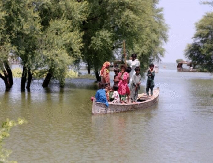 पाकिस्तान में बाढ़ से 4.1 करोड़ लोग प्रभावित, पंजाब में अब तक 56 ने गंवाई जान