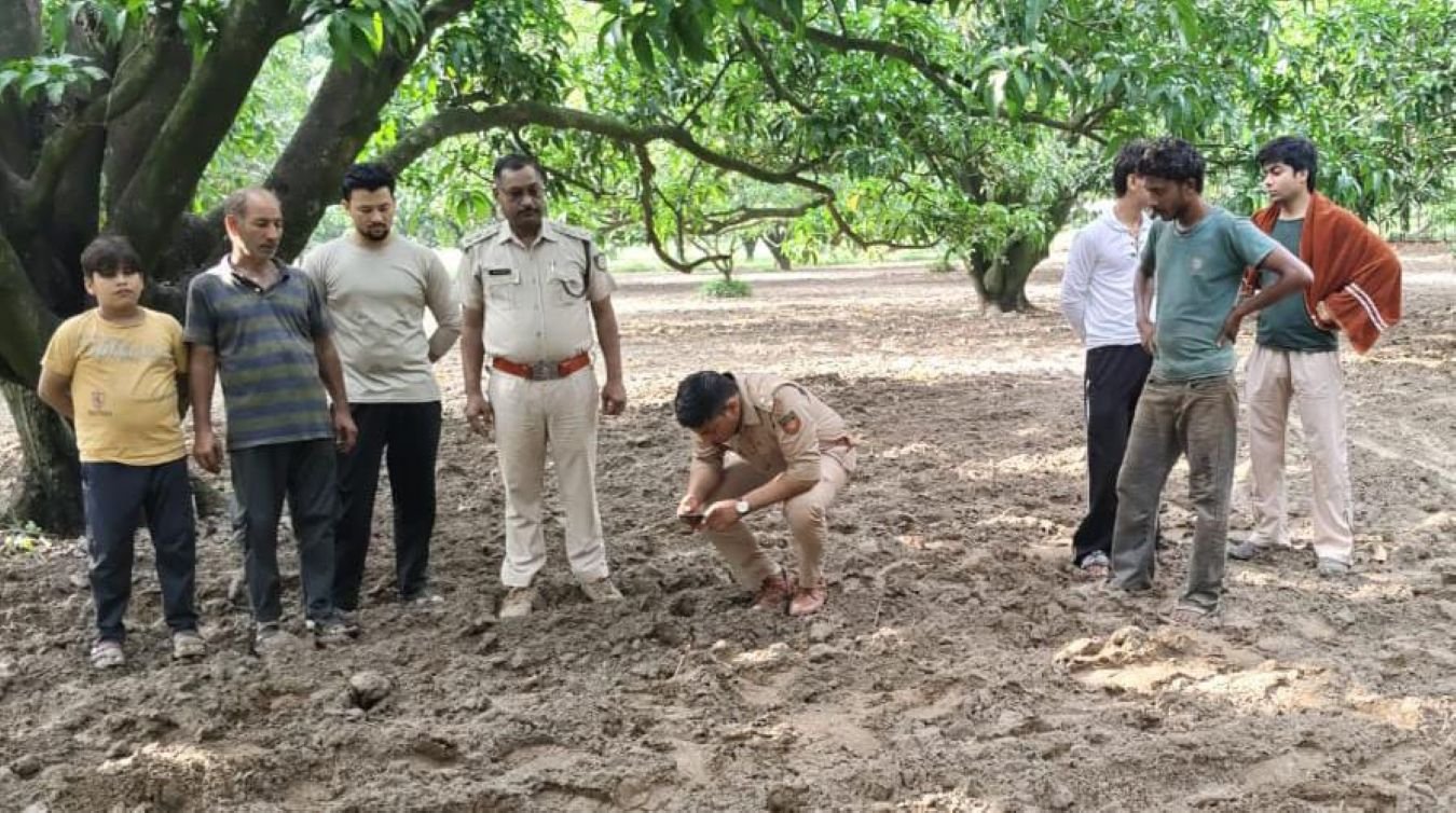 Hapur news सफेदे के पेड़ पर चढ़ा तेंदुआं, तस्वीर हुई वायरल, दोताई के जंगल में दहशत; वन विभाग की टीम ने संभाला मोर्चा 1 Hapur news-